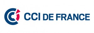 ccidefrance-logo-large